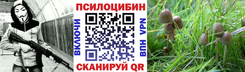 как найти   Нижневартовск  Галлюциногенные грибы GOLDEN TEACHER 